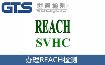 办理REACH检测 (2)