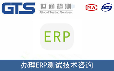 办理ERP测试技术咨询