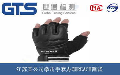 江苏某公司拳击手套办理REACH测试