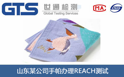 山东某公司手帕办理REACH测试