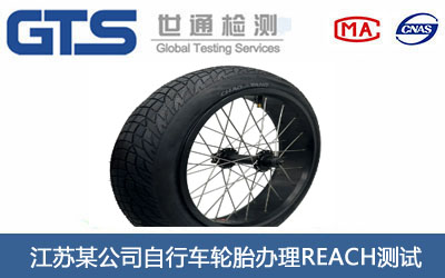 江苏某公司自行车轮胎办理REACH测试